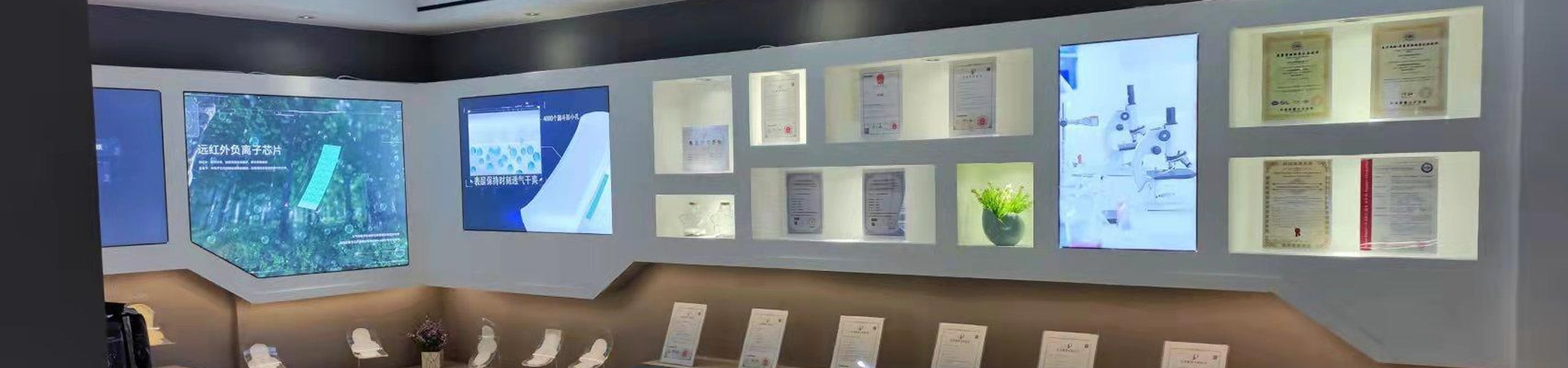 Company Introduction